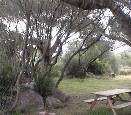 Les Bergeries D'Ogliastrello Villa Figari  Eksteriør billede