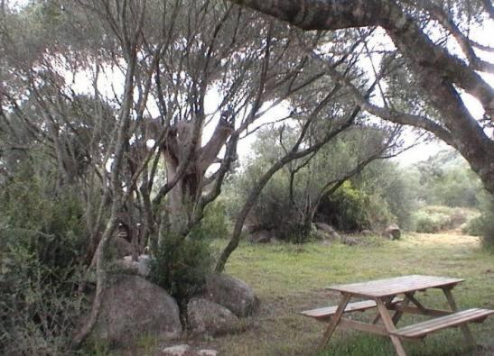 Les Bergeries D'Ogliastrello Villa Figari  Eksteriør billede